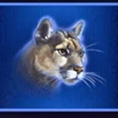 buffalo-blitz-symbol-2-1.jpg